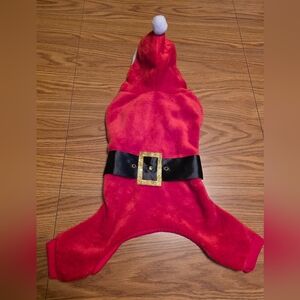 Holiday Red Santa Dog Outfit with Black Belt